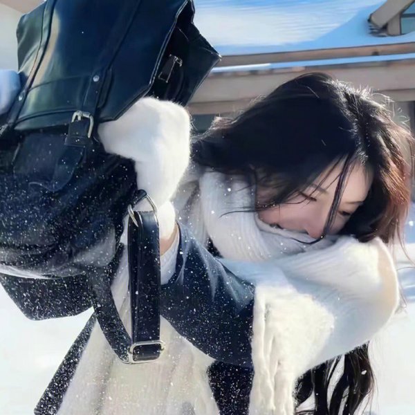 呆子2